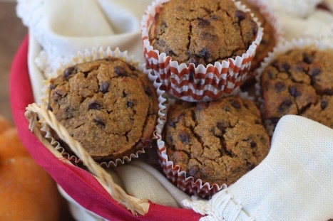 PaleOMG – Paleo Recipes – Pumpkin Chocolate Chip Muffins | The Chic Chocolate Curator | Scoop.it