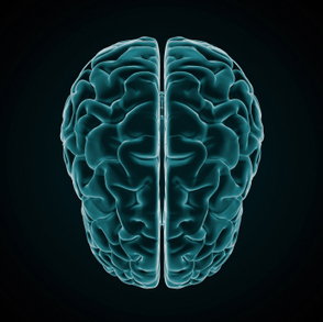 ‘Creative right brain’ myth debunked | KurzweilAI | Science News | Scoop.it