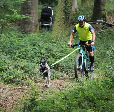 Cani Vtt Entrainement Conseil Pour Faire De La