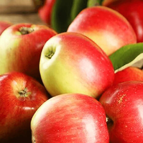 Tous les fruits exotiques | Metro | DictiHOnnaires! | Scoop.it