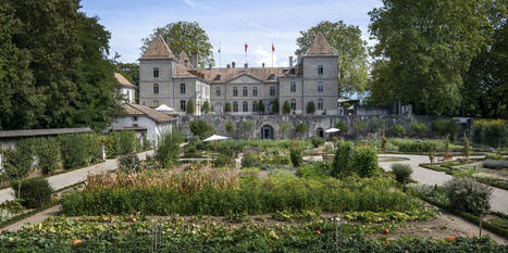Vaud: la Via Valdensis offre 533 km à explorer à pied | Tourisme Durable - Slow | Scoop.it