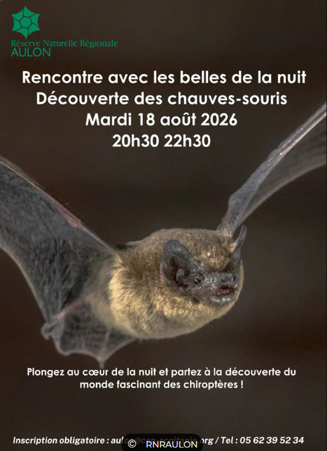 D&eacute;couverte du monde des chauve-souris &agrave; Aulon le 18 ao&ucirc;t | Vall&eacute;es d'Aure & Louron - Pyr&eacute;n&eacute;es | Scoop.it