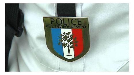 Police de l'environnement : 219 procédures pénales dans les Vosges en 2018 | Biodiversité | Scoop.it