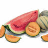 FRUITS ET LÉGUMES