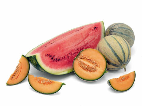 F&L : Melon et pastèques, des fruits rafraîchissants | FRUITS ET LÉGUMES | Scoop.it