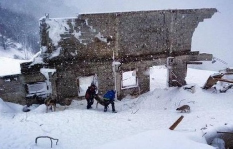 Pyrénées: 8 jours après, des brebis retrouvées vivantes sous la bergerie d'Aulon, détruite par une avalanche | Vallées d'Aure & Louron - Pyrénées | Scoop.it