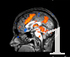 Neuroscience & the Classroom: Making Connections | Educational Psychology, AI, & Emerging Technologies: Critical Thinking on Current Trends | Scoop.it