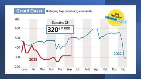 Stabilisation du marché Spot autour de 320€ dans le Grand ouest | Lait de Normandie... et d'ailleurs | Scoop.it