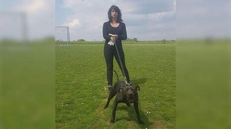 Mort d'Elisa Pilarski&nbsp;: une p&eacute;tition lanc&eacute;e pour s'opposer &agrave; l'euthanasie du chien Curtis - franceinfo | D&eacute;pendance et fin de vie | Scoop.it