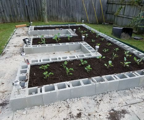 Build a Concrete Block Garden for Food and Memories | Daily DIY | Scoop.it