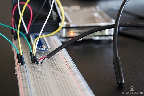 Raspberry Pi Temperature Sensor: Build a DS18B20 Circuit | tecno4 | Scoop.it