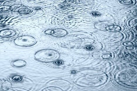 Etude : 75% des échantillons de pluies et d’air sont positifs au Roundup de Monsanto - Wikistrike | La Sagesse de la Nature | Scoop.it