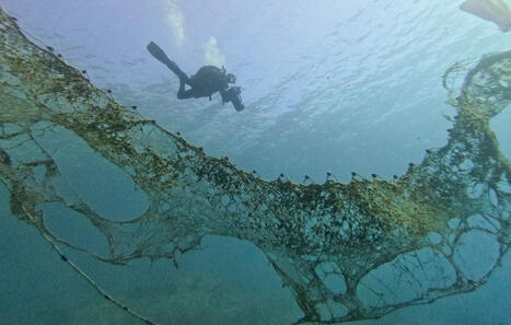Quels sont les sujets prioritaires du G7 de l&rsquo;environnement qui se r&eacute;unit &agrave; Paris&nbsp;? | Regards crois&eacute;s sur la transition &eacute;cologique | Scoop.it