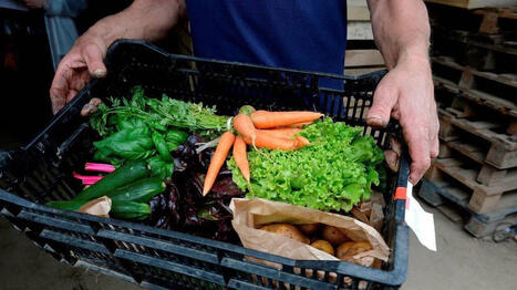 Une « ordonnance verte » pour les personnes enceintes mise en place dans cette commune de Maine-et-Loire - Ouest France [Abonnés] | Agriculture en Pays de la Loire | Scoop.it