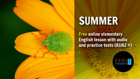 Easy English ESL Lessons For Adult Beginners - Summer | Reading Resources for ELT | Scoop.it