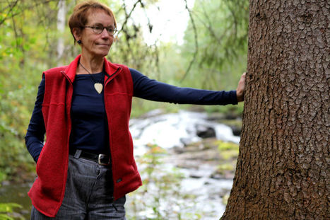 Sarjakuvia Ranskassa riitt&auml;&auml;, mutta suomalaiset teokset her&auml;tt&auml;v&auml;t silti kiinnostusta &ndash; k&auml;&auml;nt&auml;j&auml; Kirsi Kinnunen n&auml;kee syyn&auml; olevan rohkeuden rikkoa kaavoja | Yle Uutiset | yle.fi | 1Uutiset - Lukemisen t&auml;hden | Scoop.it