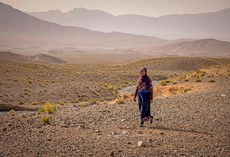 MOROCCO and ALGERIA facing water shortages&nbsp; | OLIVE NEWS | Scoop.it