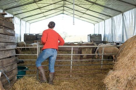 "Sans les femmes nous n'y arriverons pas" : l'agriculture au défi du renouvellement des générations | Revue de presse économique du Sud Touraine | Scoop.it