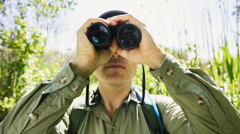 A Birder’s Bookshelf: Essentials for the Well-read Avian Enthusiast | Rainforest CLASSROOM | Scoop.it