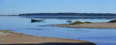 Pesticides dans les lagunes de Méditerranée : un nouvel indicateur permet de mieux évaluer le risque écologique | Biodiversité | Scoop.it