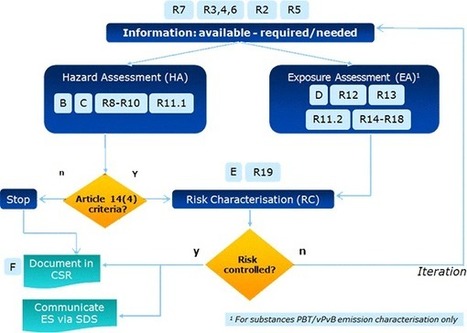 Guide des exigences d’information et évaluation de la sécurité chimique – ECHA | Prévention du risque chimique | Scoop.it