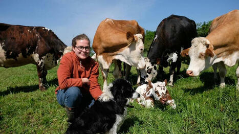 Clothilde Viard a repris une ferme et relancé la production de lait en rachetant un troupeau - Ouest France [Abonnés] | Agriculture en Pays de la Loire | Scoop.it