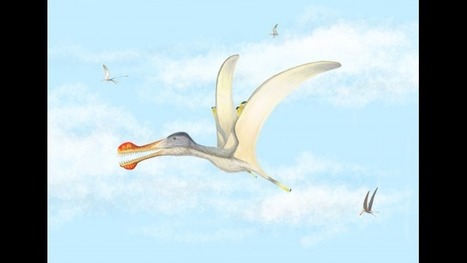 Fossil Discoveries Give Clues about Flying, Spike-toothed Reptiles in the Sahara 100 Million Years Ago | Amazing Science | Scoop.it