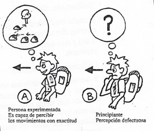 Educación Física plus (EF+) | Sitios web de docentes de Educación Física | Scoop.it