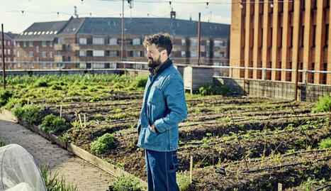 C’est quoi la low-tech ? | Eco-conception | Scoop.it
