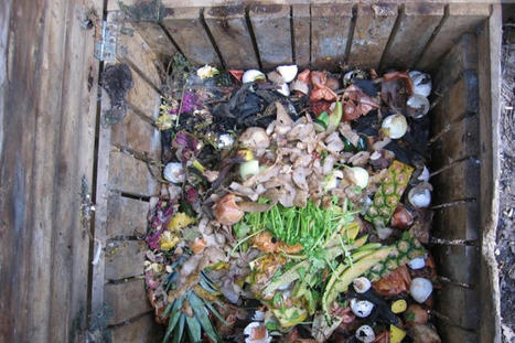 Ne jetez pas les sacs biodégradables au compost | Toxique, soyons vigilant ! | Scoop.it
