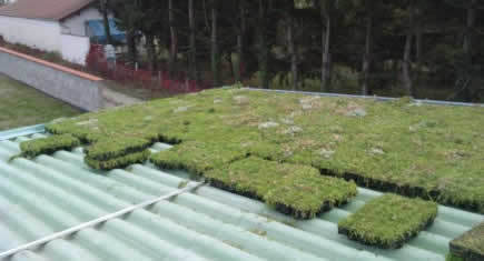 Eternit lance une solution de végétalisation pour les toits en pente - France BTP | Build Green, pour un habitat écologique | Scoop.it