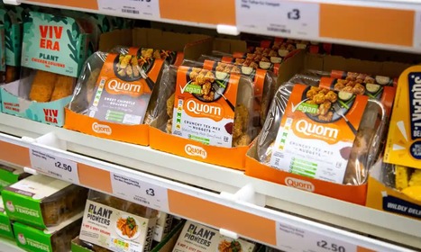 CONSUMPTION : Big meat is gobbling up fake meat companies | ALIMENTATIONS | Scoop.it