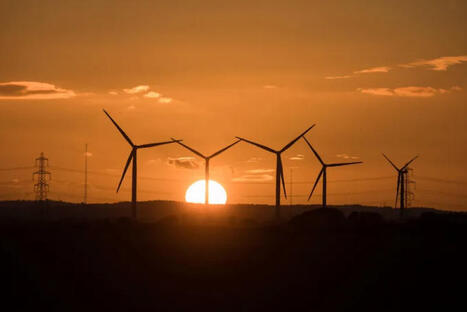 Survey: Family Offices Remain Skeptical of Sustainable Investing | Institutional Investor | Family Office & Billionaire Report - Empowering Family Dynasties | Scoop.it