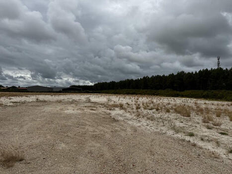 Hourtin : L’usine de granulés de bois d’Ener Biomasse ne verra pas le jour | ITERG Environnement et Eco-industries | Scoop.it