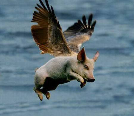 Laurent Wauquiez : "Arr&ecirc;tons de traiter les classes moyennes en cochons payeurs" | Chronique des Droits de l'Homme | Scoop.it