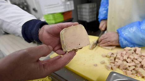 Un nouvel observatoire veut pointer les usages et gabegies des subventions allou&eacute;es au monde agricole - Ouest France [Abonn&eacute;s] | Agriculture en Pays de la Loire | Scoop.it