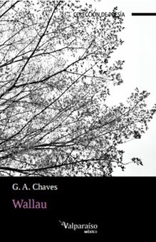 Una selección de poemas del libro Wallau, de G.A. Chaves | Autores de Centroamérica | Magacín | Scoop.it