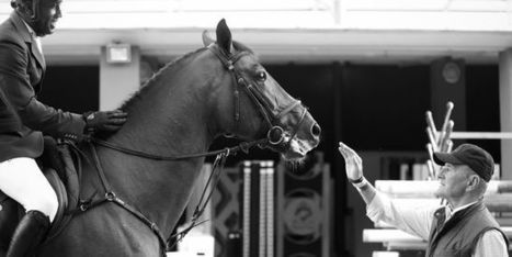 Equitation : Têtu comme un cheval | Cheval et sport | Scoop.it