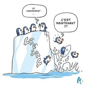 Méli Mélo - Eau et adaptation au changement climatique | Changement climatique & Biodiversité | Scoop.it
