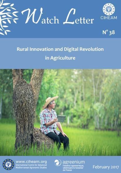 Rural innovation and digital revolution in agriculture in the Mediterranean | INNOVATIONS | Scoop.it