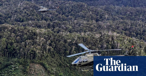 Scientists prove clear link between deforestation and local drop in rainfall | Deforestation | The Guardian | RAINFOREST EXPLORER | Scoop.it