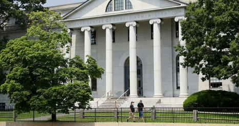 What’s Actually in the Harvard Sexual Harassment Complaint - NYMag.com | Operation Oya | Scoop.it