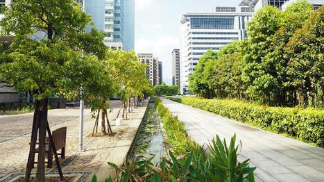 Le Plan Nature en ville 2024-2030 est lancé | ESPACES VEGETALISES URBAINS | Scoop.it