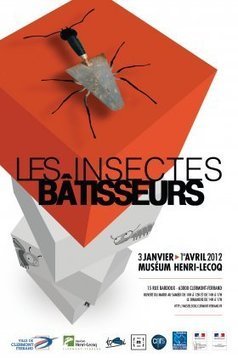 Agenda : Les insectes bâtisseurs - du mardi 3 janvier 2012 au dimanche 1er avril 2012 - Ville de Clermont-Ferrand | Variétés entomologiques | Scoop.it
