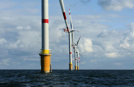  L’impact des éoliennes marines sur la biodiversité | Environnement : Politiques Publiques et Stratégie | Scoop.it