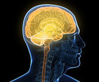 Exercise in middle-age 'stops your brain shrinking' - NHS Choices | Social marketing - Health Promotion | Scoop.it