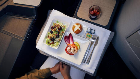 American Airlines introduces centennial‑inspired menu celebrating 100 years of flight&nbsp; | Weekly Travel Update | Scoop.it
