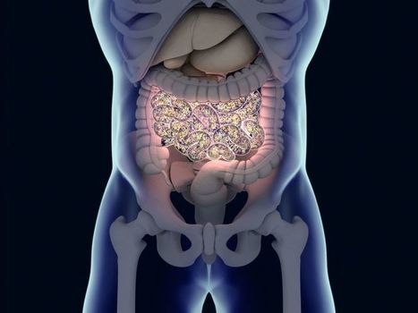 How the Microbiome Could Be the Key to New Cancer Treatments | Science | 21st Century Innovative Technologies and Developments as also discoveries, curiosity ( insolite)... | Scoop.it