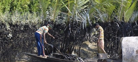 Alarm in Bangladesh after yet another coal ship catastrophe in the Sundarbans / 22.03.2016 | Pollution accidentelle des eaux (+ d&eacute;chets plastiques) | Scoop.it