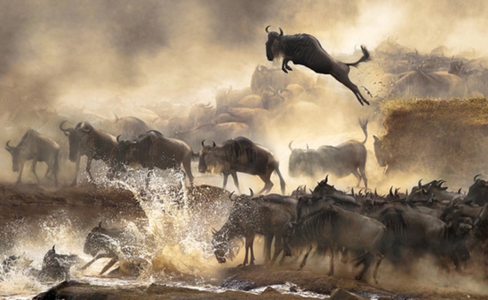The finalists for 2014's Sony World Photography Awards are outstanding | Machinimania | Scoop.it
